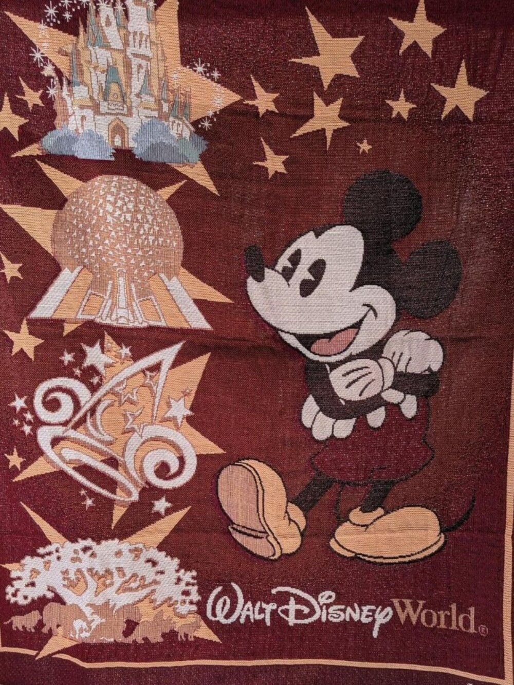 Walt Disney World Disney Parks Fringed Tapestry Throw Blanket